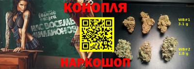 ECSTASY Гай