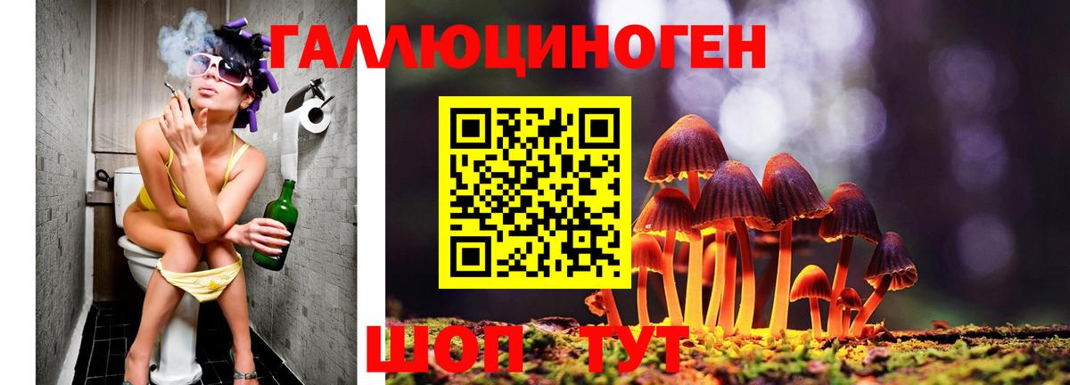 Псилоцибиновые грибы Psilocybe  Вход с VPN  Ростов Великий 